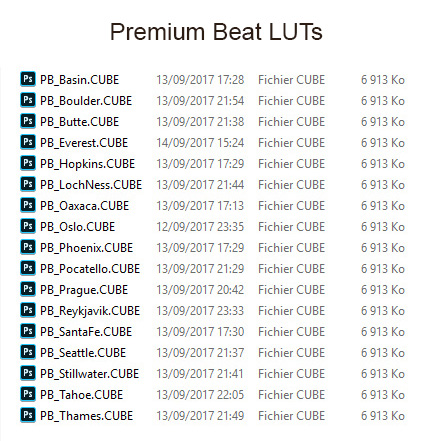 LUTs Premium Beat