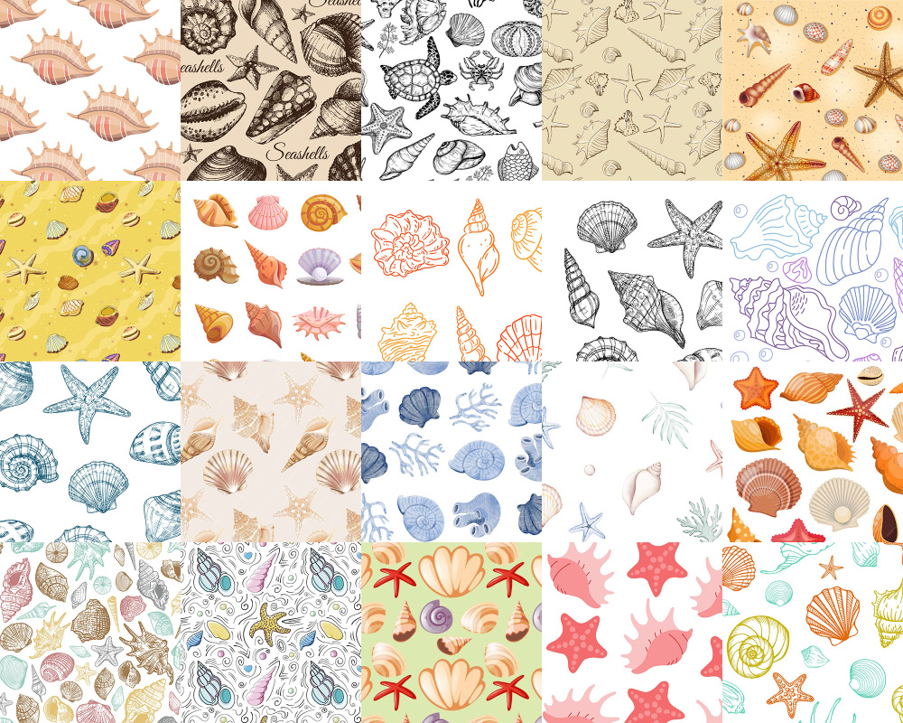 Motifs Coquillages (1)