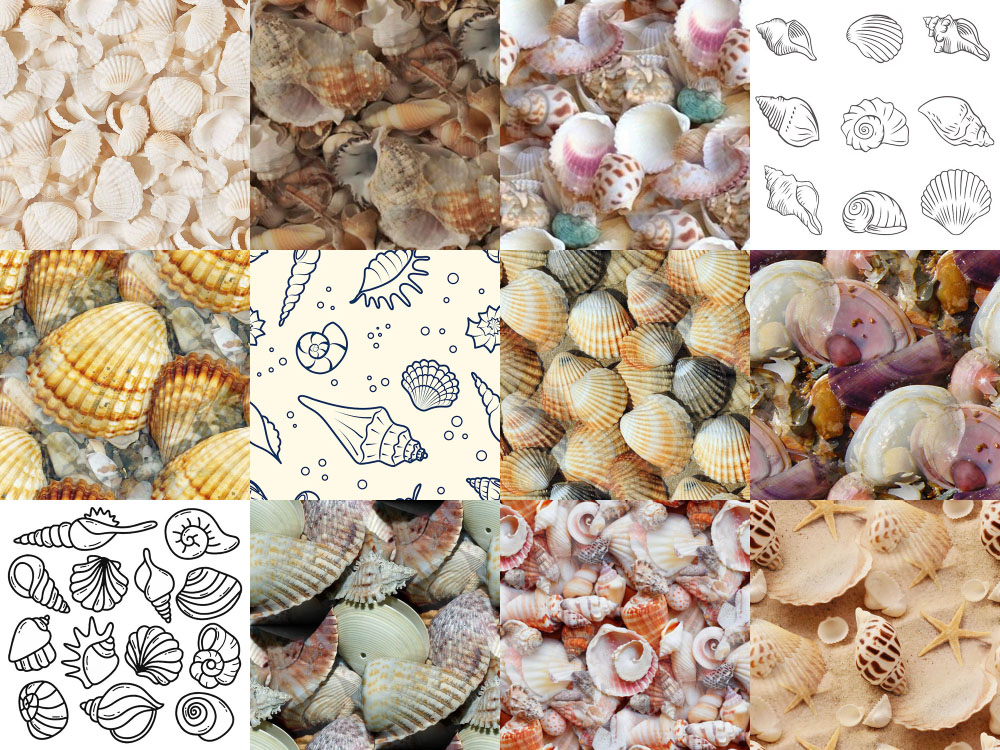 Motifs Coquillages (6) Motifs Coquillages (6)