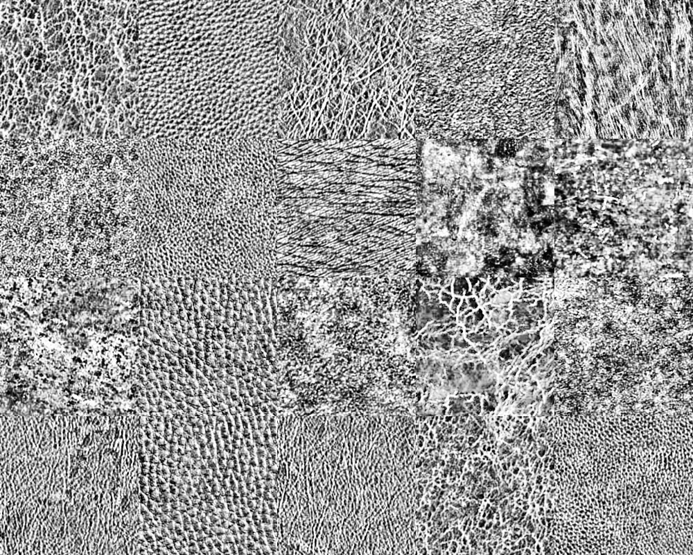 Motifs Cuir noir et blanc (4)