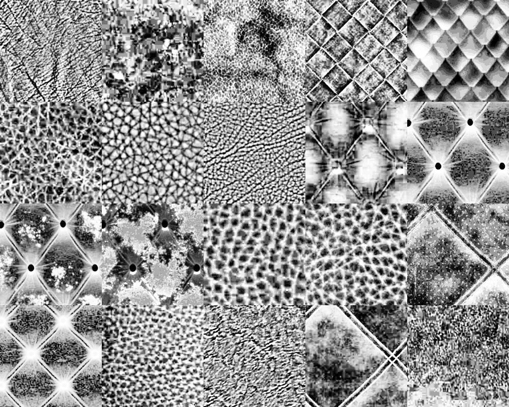 Motifs Cuir noir et blanc (6)