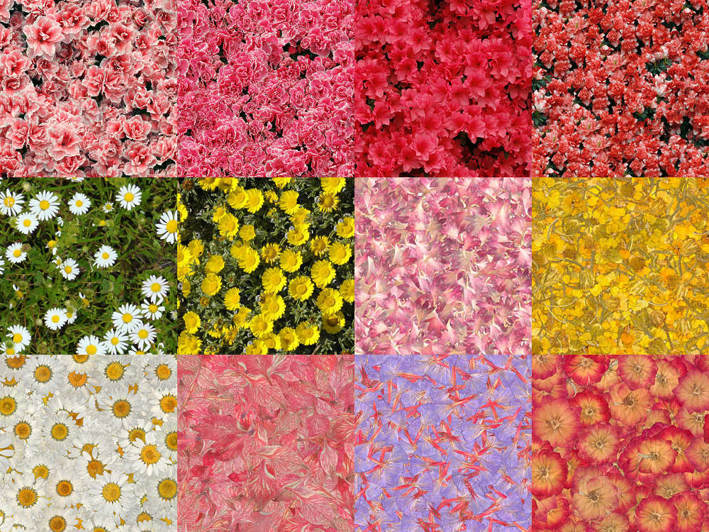 Motifs Fleurs (19)