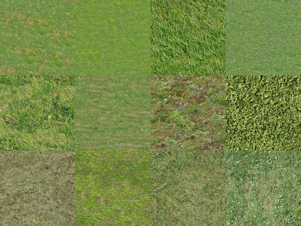 Motifs Herbe (14)