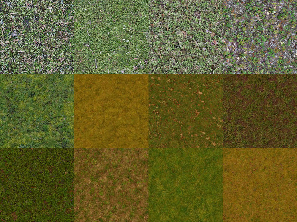 Motifs Herbe (7)