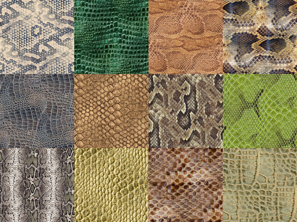 Motifs Peau de serpent (1)