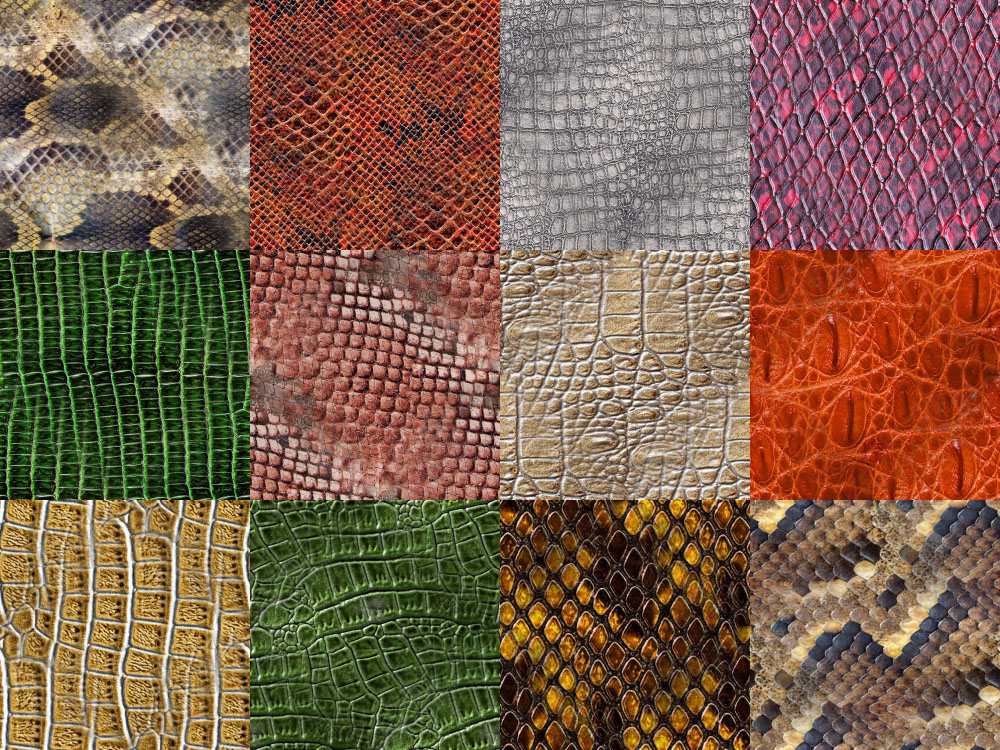 Motifs Peau de serpent (3)