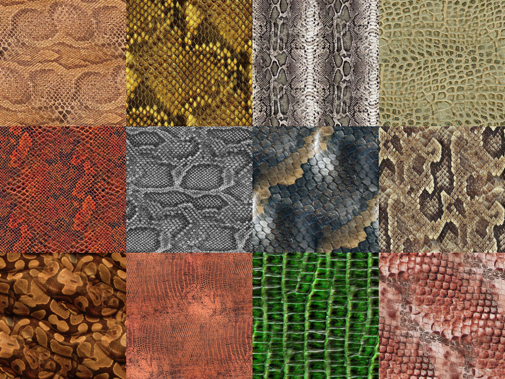 Motifs Peau de serpent (4)