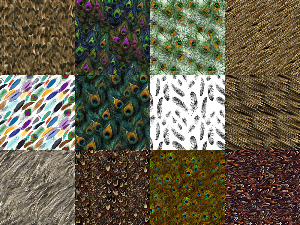 Motifs Plume (1) Motifs Plume (1)