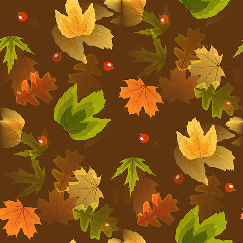 Automne 2-10 Automne 2-10
