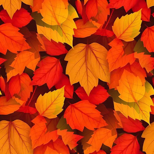 Automne 2-2 Automne 2-2