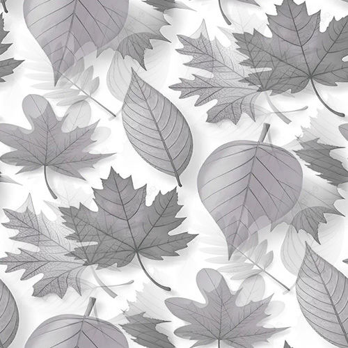 Automne 2-3 Automne 2-3