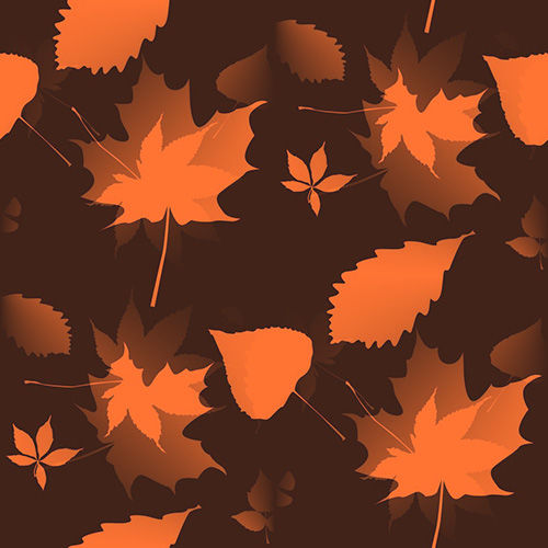 Automne 2-7 Automne 2-7