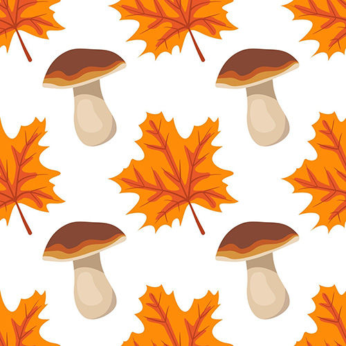 Automne 3-11 Automne 3-11