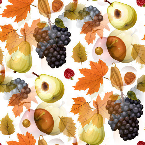 Automne 3-4 Automne 3-4