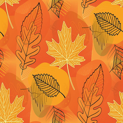 Automne 4-1 Automne 4-1