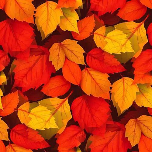 Automne 4-12 Automne 4-12