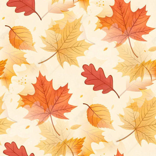 Automne 4-7 Automne 4-7
