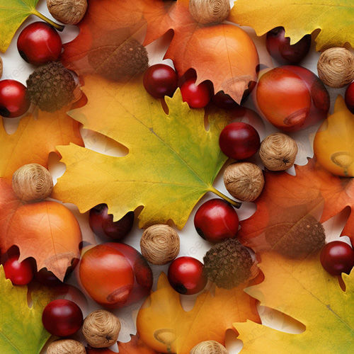 Automne 5-4 Automne 5-4