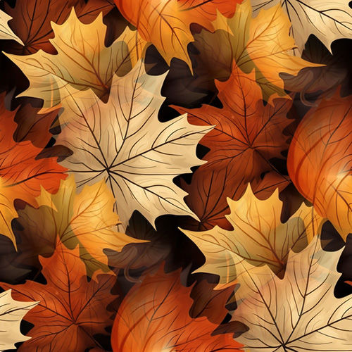 Automne 5-5 Automne 5-5