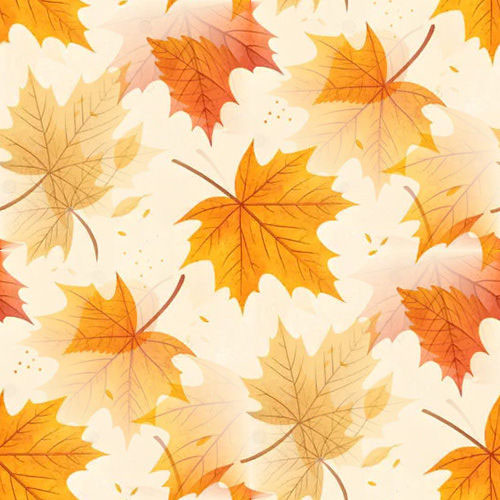 Automne 5-9 Automne 5-9