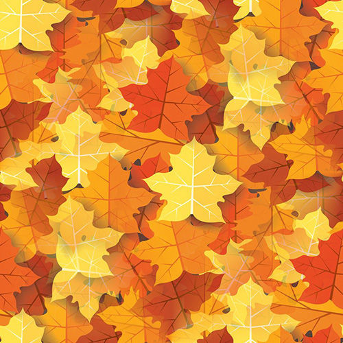Automne 6-4 Automne 6-4