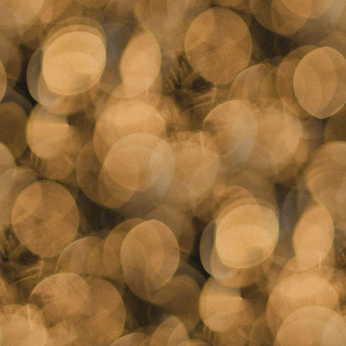 Bokeh 4-11 Bokeh 4-11