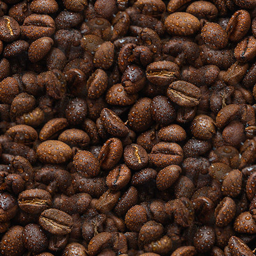 Café 2-6 Café 2-6
