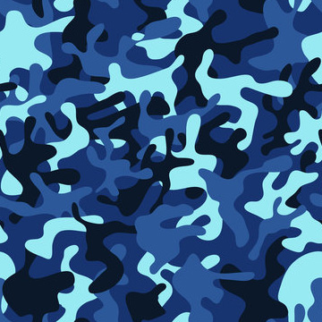 Camouflage 01-10