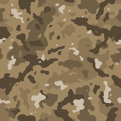 Camouflage 01-12