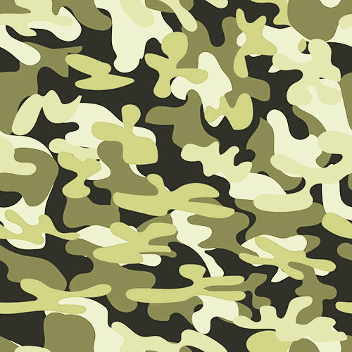 Camouflage 1-14