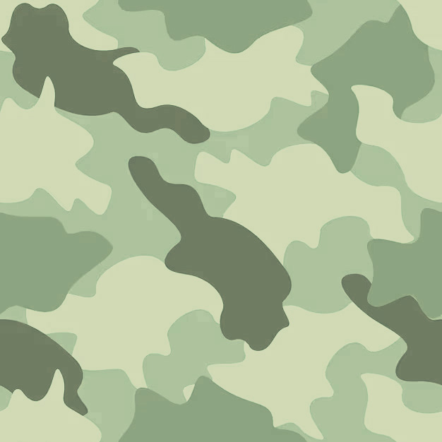 Camouflage 01-15