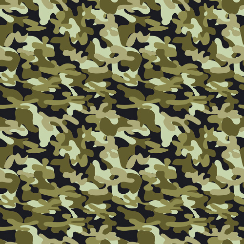 Camouflage 1-17