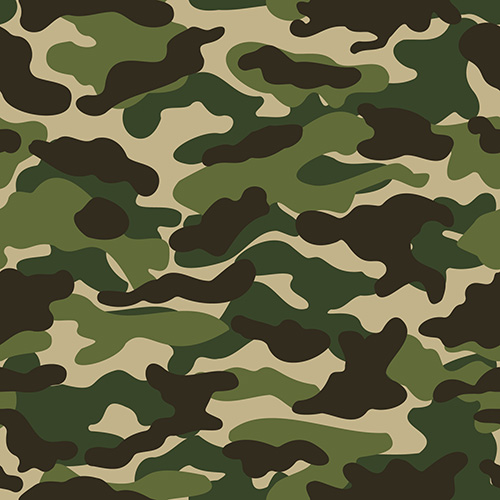 Camouflage 1-19