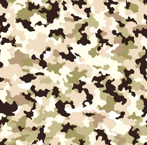 Camouflage 2-12