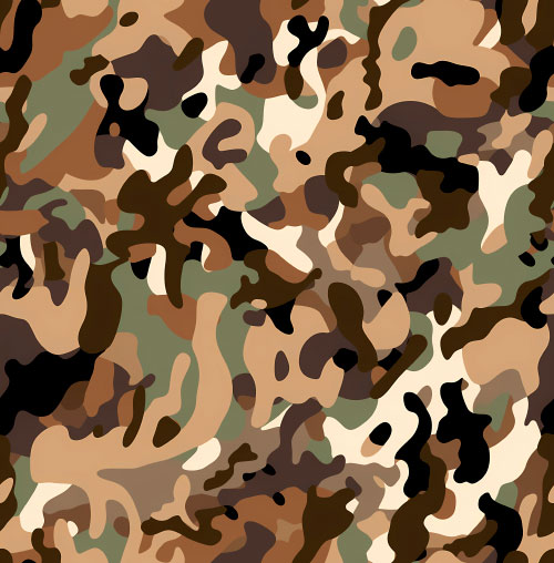 Camouflage 2-2