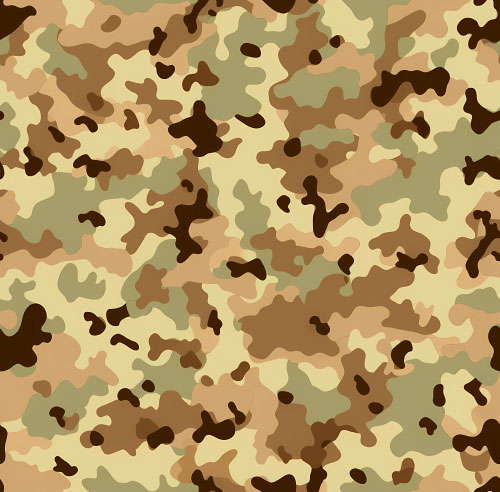 Camouflage 3-1