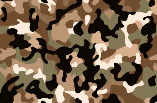 Camouflage 4-1