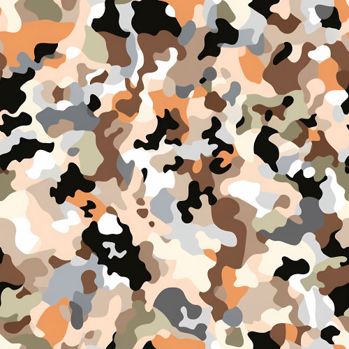 Camouflage 4-2