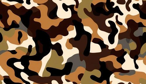 Camouflage 4-6