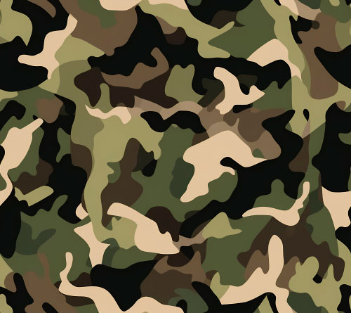 Camouflage 5-1