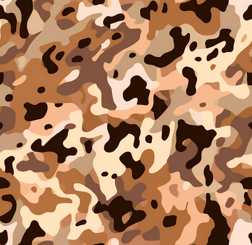 Camouflage 6-1