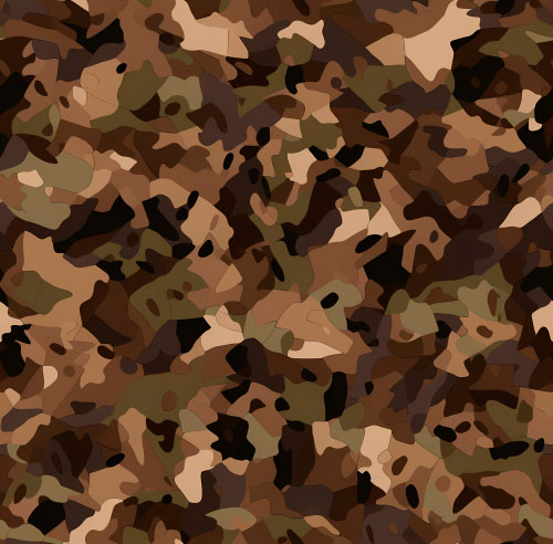 Camouflage 6-3