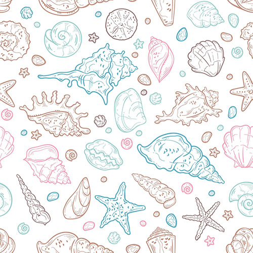 Coquillages 2-14 Coquillages 2-14