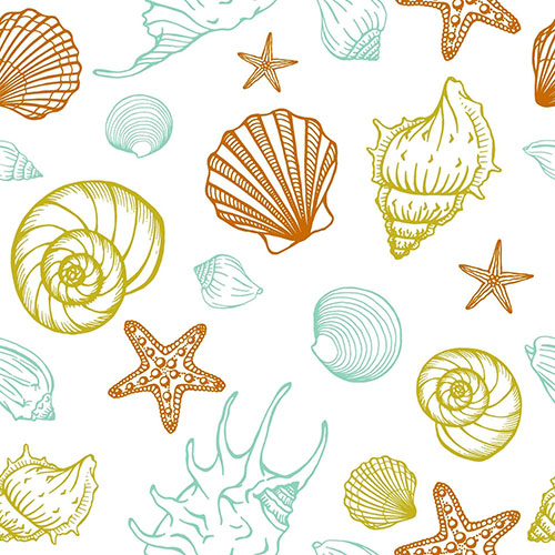 Coquillages 2-15 Coquillages 2-15