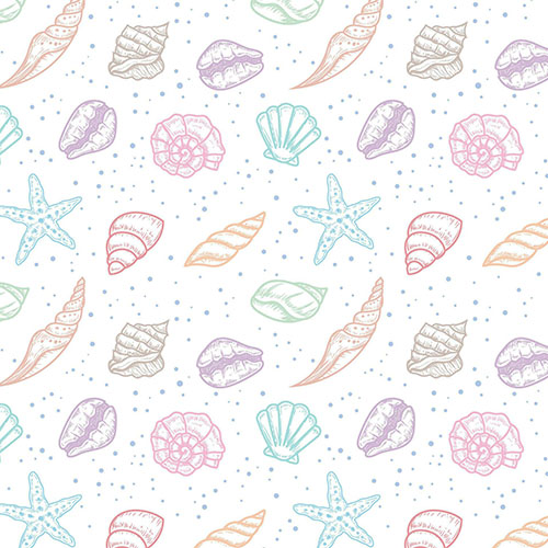 Coquillages 2-16 Coquillages 2-16