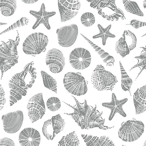 Coquillages 2-3 Coquillages 2-3