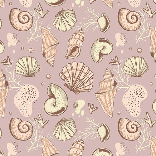 Coquillages 2-5 Coquillages 2-5