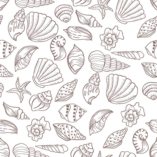 Coquillages 2-9 Coquillages 2-9