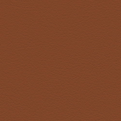 Cuir 7-19