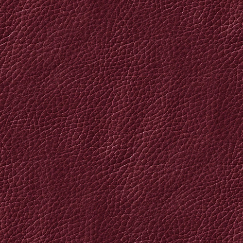 Cuir 14-10